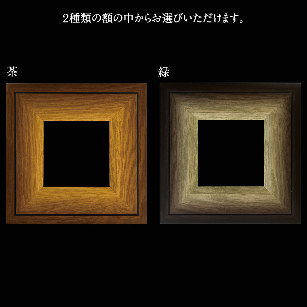 ʡ�˥��꡼���������λ�ʡ���å�(M007)