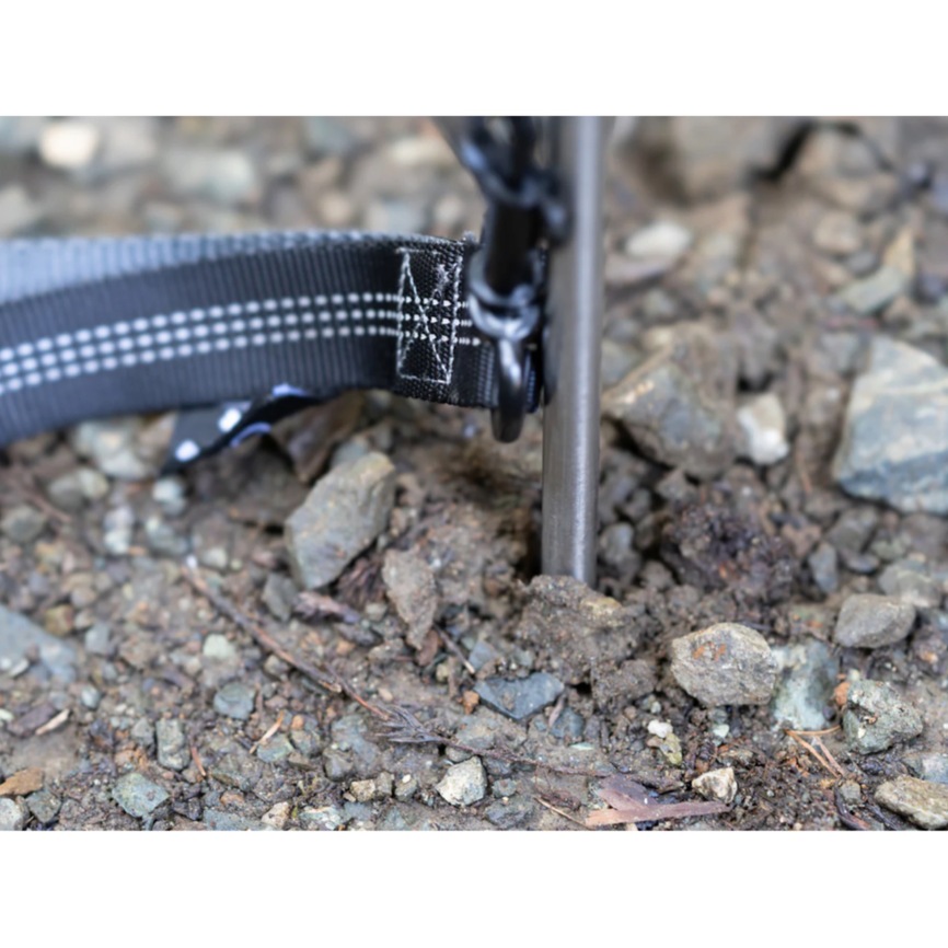 5050PET ANML ANCHOR