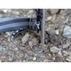 5050PET ANML ANCHOR