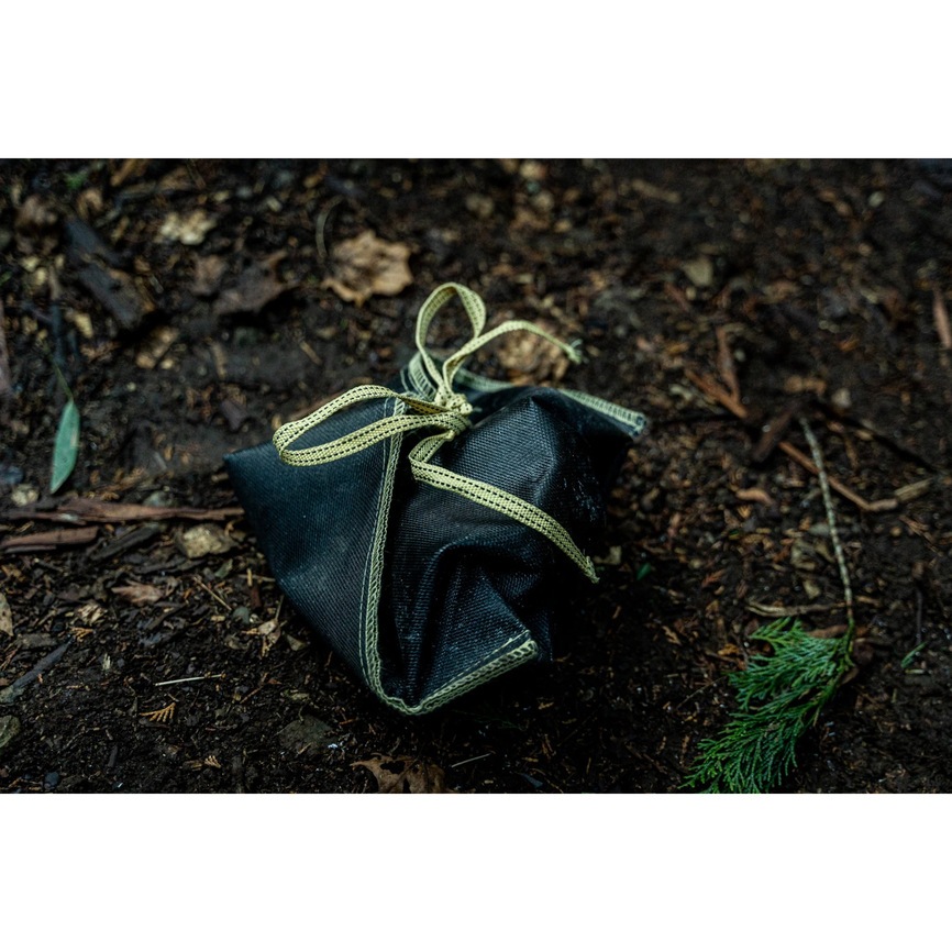 アッシュキャリー