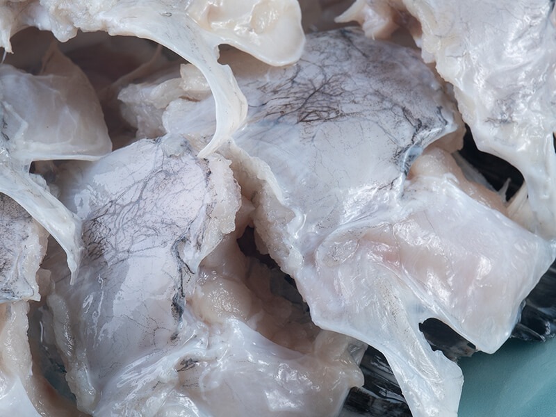 ڴָ۴ؤȤ顡դʡޡȤդ1kg8