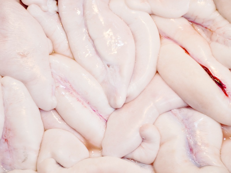 Ȥդʡޡ1kg20 <>