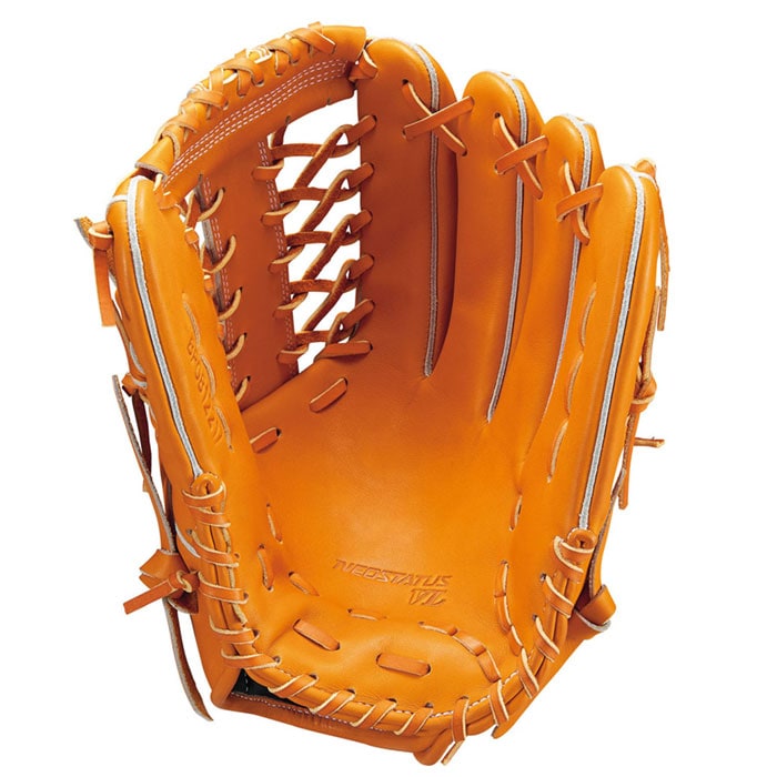 ZETT NEO STATUS 硬式野球用グローブ BPCB25630 ZETT NEO STATUS 硬式野球用グローブ BPCB25630