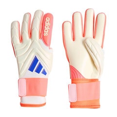 サッカー・フットサル,キーパー用品,キーパー手袋,アディダス(adidas