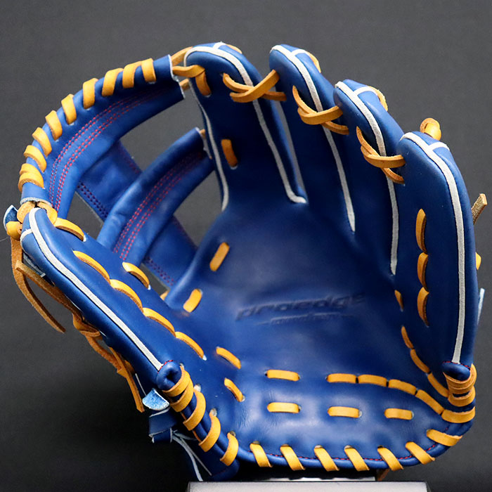 野球 エスエスケイ 硬式グローブ プロエッジ オーダーグラブ 761型 SSK
