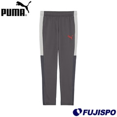 プーマ INDIVILIGA TR パンツ PUMA サッカー フットサル ジャージ ロングパンツ トレーニングウェア 大人 メンズ (660971-01)