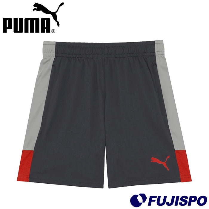 【特価】プーマ INDIVILIGA TR ショーツ PUMA サッカー フットサル プラクティスパンツ ゲームパンツ トレーニングウェア 大人 メンズ (660976-01)