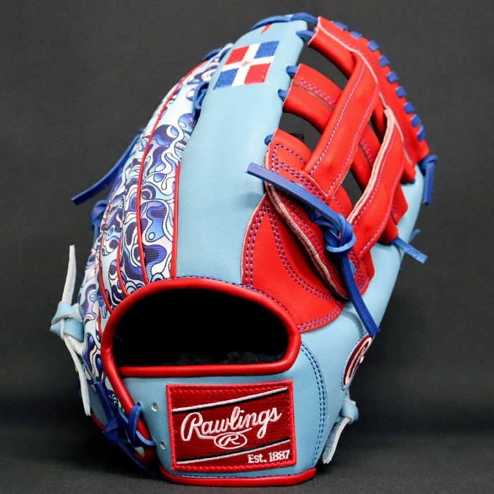Rawlings 軟式外野手用オーダーグラブ 野球 ローリングス 軟式グローブ タティスJr. 2026 世界大会 限定