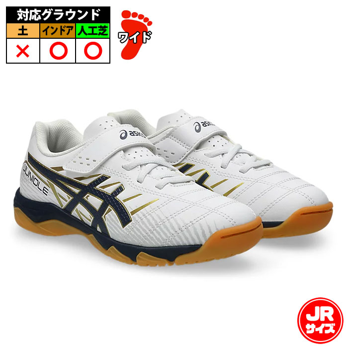 サッカー・フットサル,シューズ,フットサルシューズ,アシックス(asics