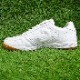 デスポルチ カンピーナスSP2 Desporte 【サッカー・フットサル】 シューズ トレーニングシューズ トレシュー インドア 屋内 P-WHT(パールホワイト) (DS2031-P-WHT)