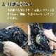 フジスポ JOINT  型付け FUJISPO 【野球・ソフト】 グラブ グローブ ミット 硬式 少年硬式 軟式 一般 ボーイス 高校野球 パンチング 叩き 手揉み 【※グラブと一緒にご購入ください】 (MAKE-JOINT)
