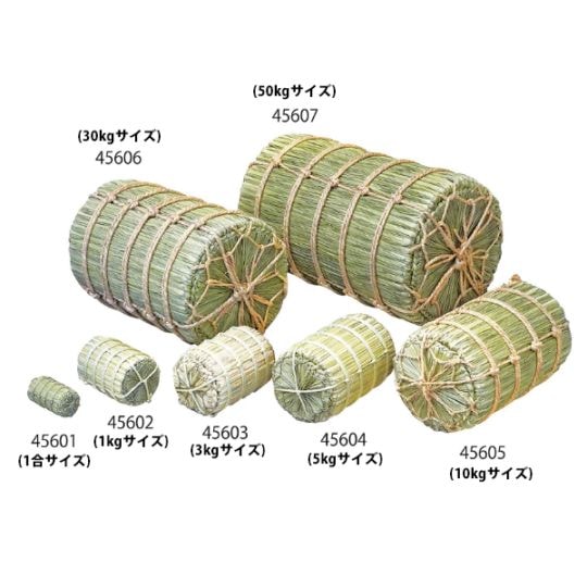 61M7dmuZu8L._UF350,350_QL80_.jpg