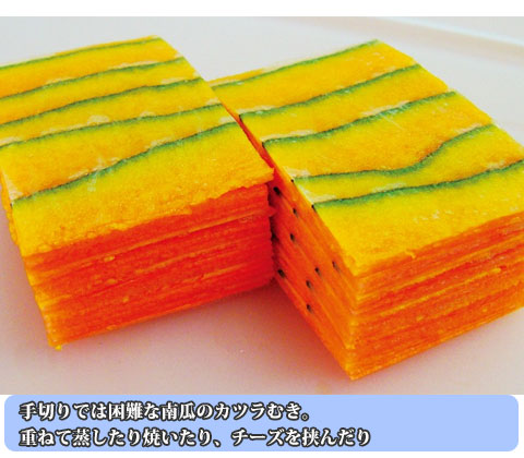 ��ư���Ĥ���Ϻ CTM-05 �� ���չ��Ƚ� ��