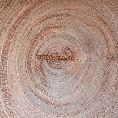 ���䤭����52.5cm����7.5