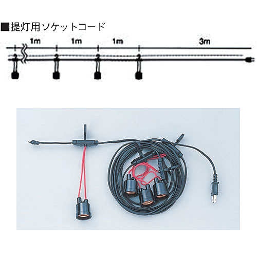 �����ѥ����å�