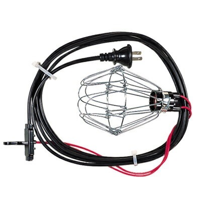 �����ѥ����å�