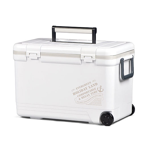 �ۥ�ǡ����ɥ����顼 27H