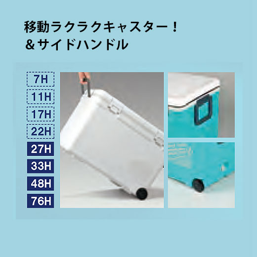 �ۥ�ǡ����ɥ����顼 76H