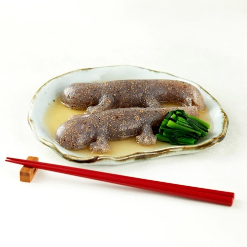 【数量限定】地元の高校生とのコラボ商品！「オオサンショウウオこんにゃく(大)」（※お詫び:お届けまでにお時間をいただいております。配送まで１～2カ月お待ちいただきますことご了承くださいませ。)