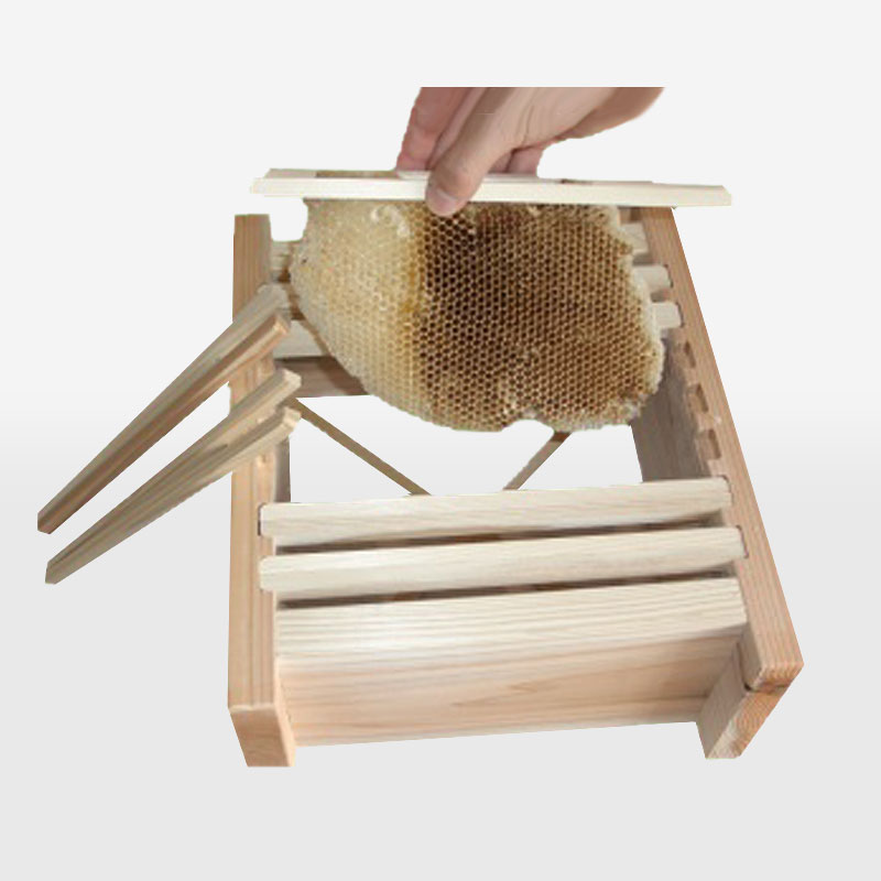 �ķ���Ȣ�ʥϥ����������סˡ̥��ƥ��� ���Х��͡�����̪˪��