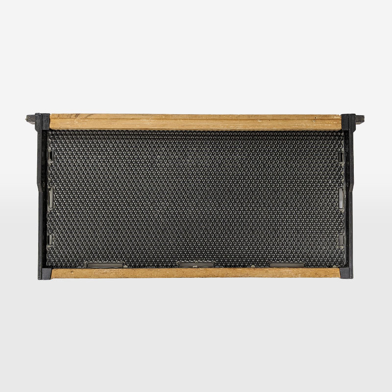 ͺ˪�ѿ͹����������� 10��̥����Х��襦 ���󥳥������ĥ� ���說�͡�����̪˪��