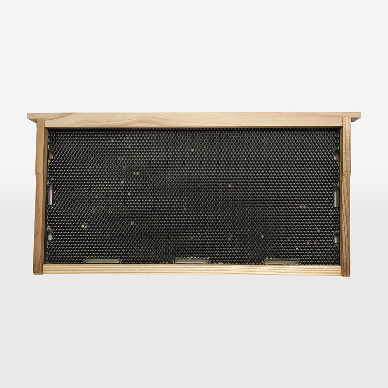 �͹����������� 50��̥��󥳥������ĥ� ���說�͡�ξ����ѡ�����̪˪������̪˪��