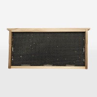 �͹����������� 50��̥��󥳥������ĥ� ���說�͡�ξ����ѡ�����̪˪������̪˪��