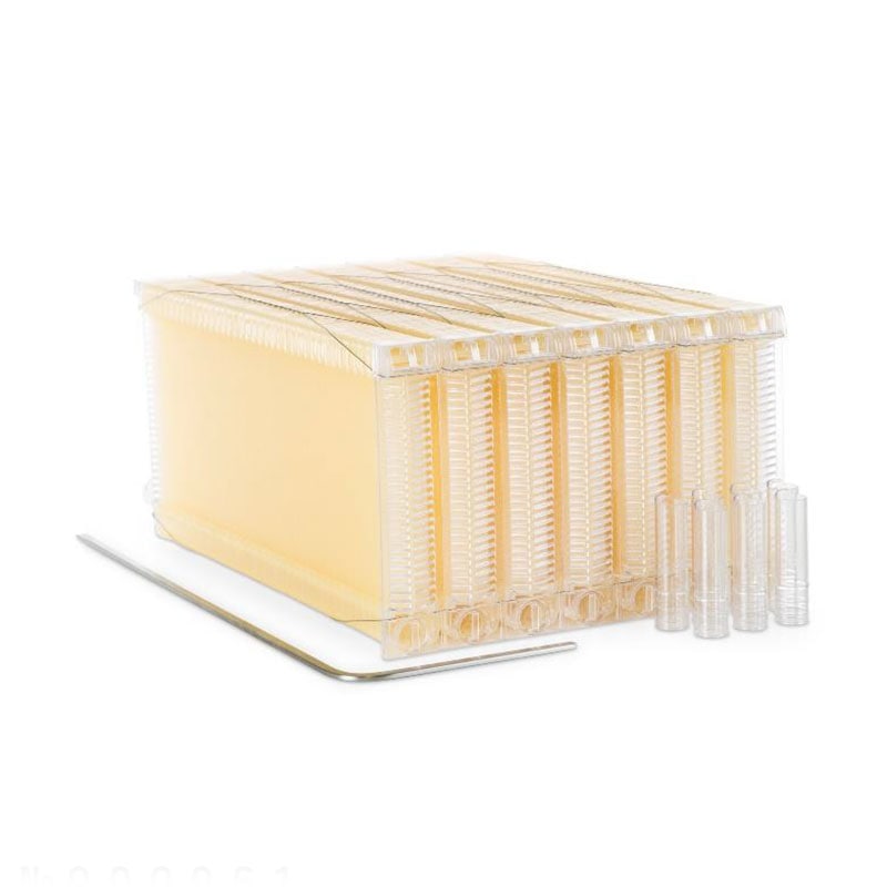 �ե����ե졼�� 6���ȥ��åȡ�����̪˪�ѡ�Flow Hive ������ ���������ߢ�