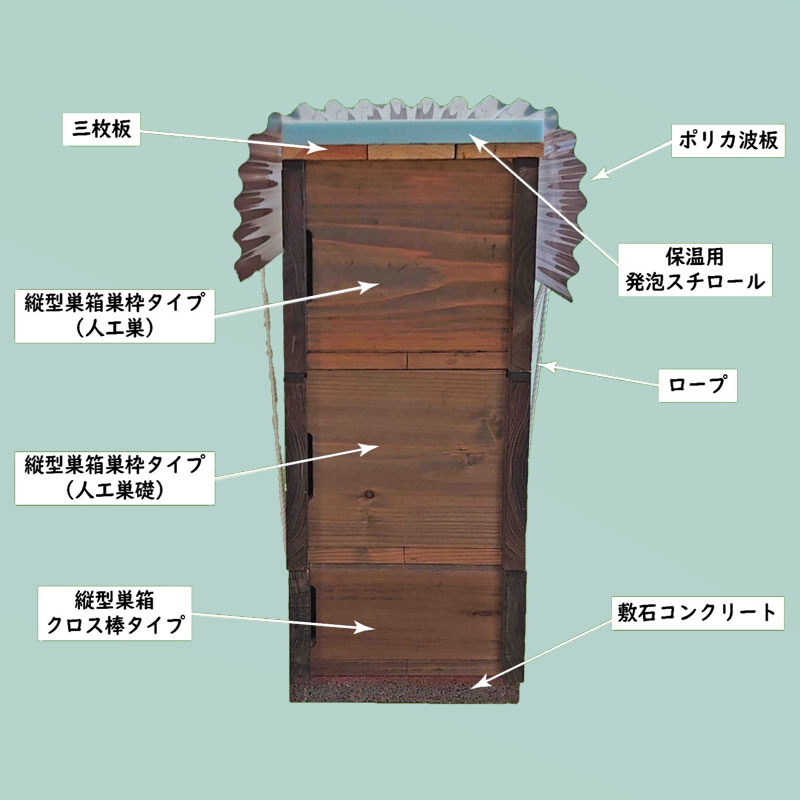 ���ܥ˥ۥ�ߥĥХ��ѽķ���Ȣ B���åȡ̥��ƥ��� ���Х��͡�����̪˪��