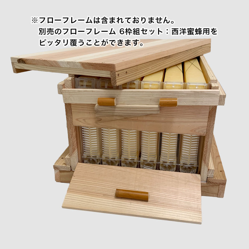 ����̪˪��ʤ��Ȣ���ե����ե졼��6�Ȥ˻��Ѳ�