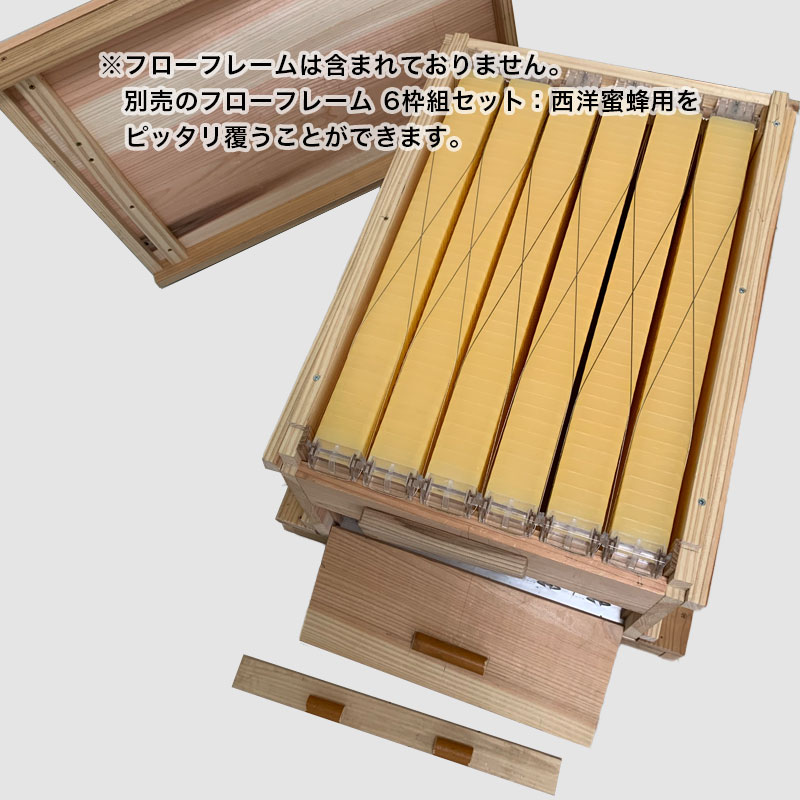 ����̪˪��ʤ��Ȣ���ե����ե졼��6�Ȥ˻��Ѳ�