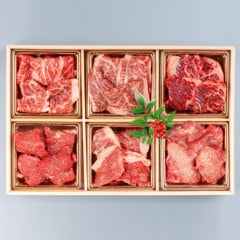 【焼肉 天山閣】 国産淡路牛焼肉6種類Bセット | 天山閣 監修460ｇ （2～3人前） 【期間限定】