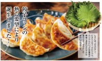 【餃子香月】冷凍しそ生ギョウザ 72個