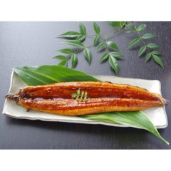 【うなぎ】 鹿児島産鰻蒲焼 １尾 朝〆鰻 | 備長炭火焼 うなぎの匠 監修 【数量限定】　