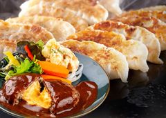 【プレミアムグルメセット】たかきび餃子・ハンバーグセット 【商品番号 A2】