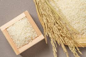 無洗米　国産ブレンド米 4.2kg（100％国産）