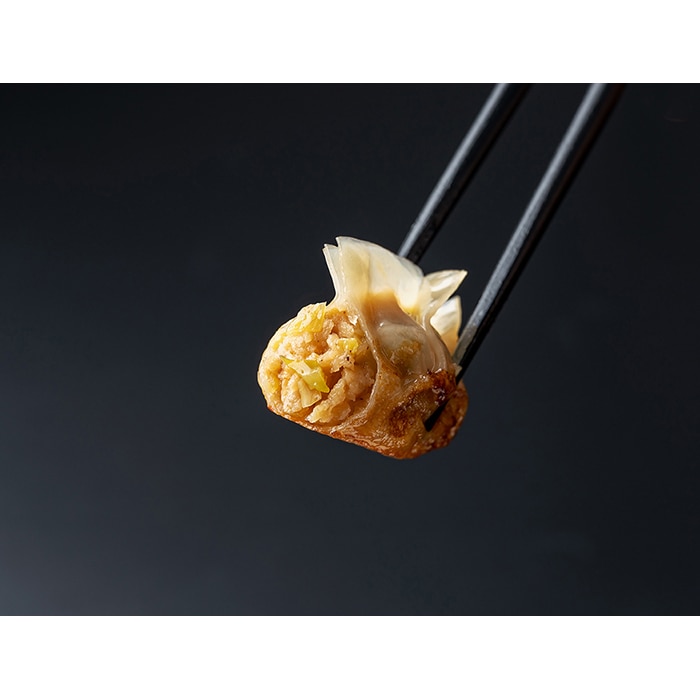 【プレミアムグルメセット】 たかきび餃子セット 【商品番号 A1】