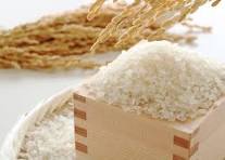 無洗米　国産ブレンド米 1.4kg（100％国産）