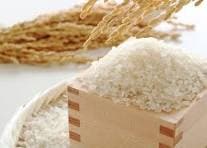 無洗米　国産ブレンド米 4.2kg（100％国産）