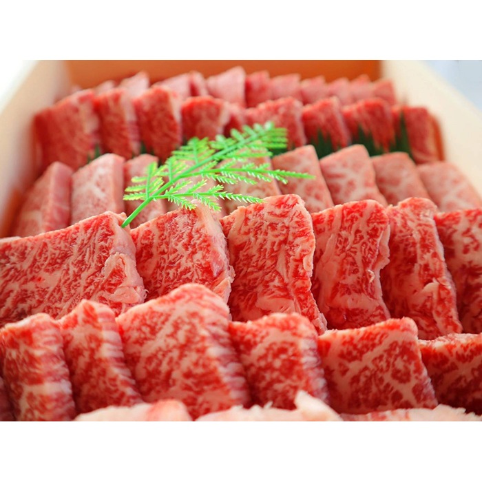【お中元プレミアムグルメセット】 厳選淡路牛焼肉セット 【商品番号 A4】