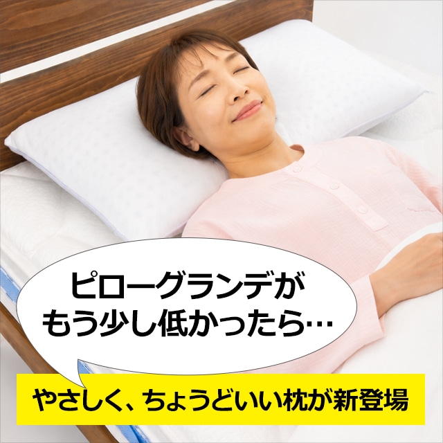 マニフレックスまくら ピローフェリーチェ（キャリーホルダー付き