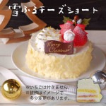 【クリスマス限定】雪ふるチーズショート5号(冷凍)