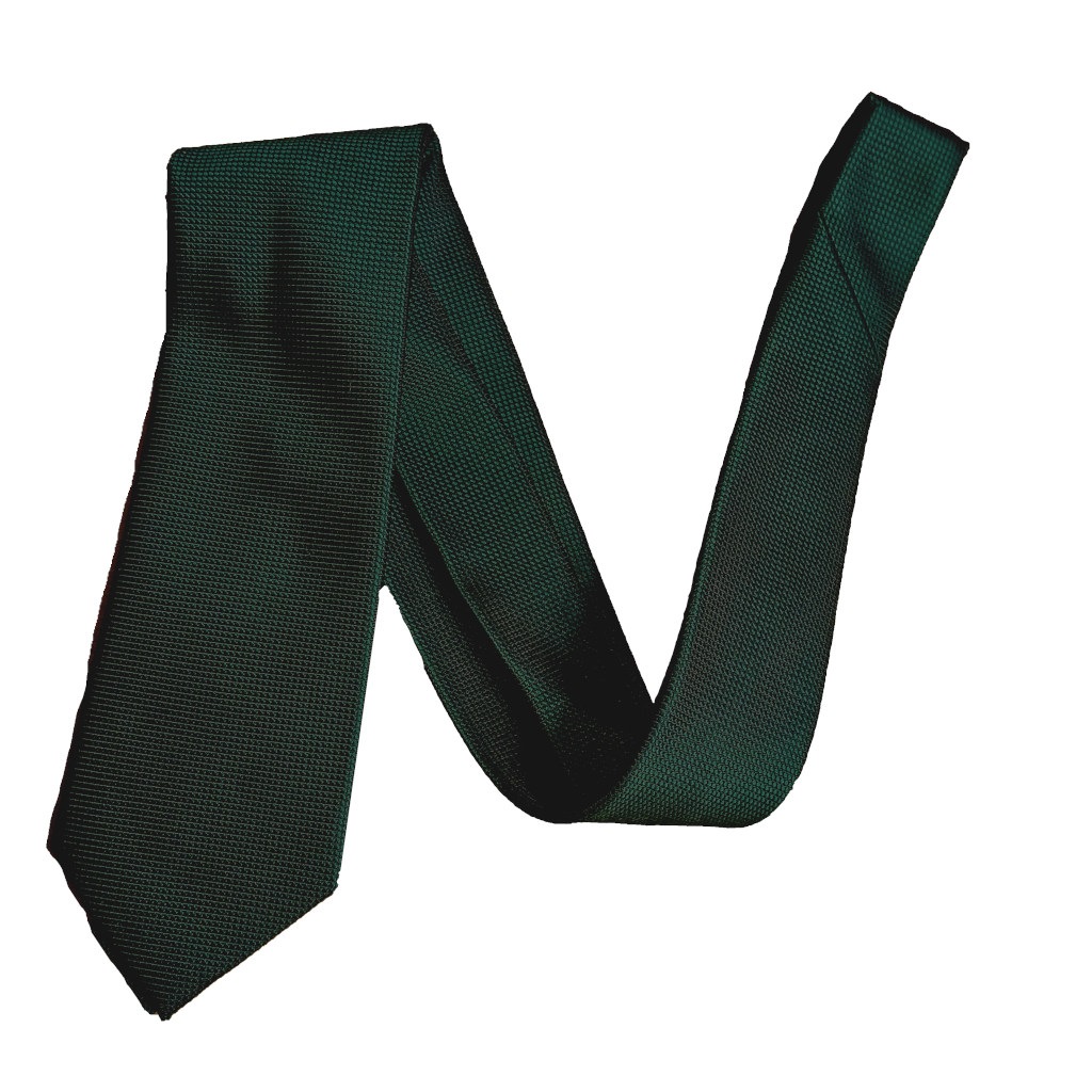 ケントアベニュー(Kent Ave) ソリッドタイ ネクタイ メンズ ビジネス おしゃれ ギフト 人気 シルク100％ シプレ グリーン ktm1
