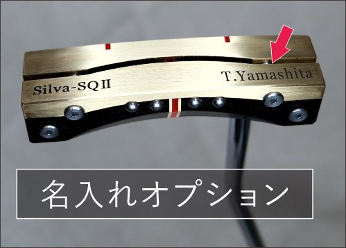 Silva-SQ2��B���֥饹�ե�����