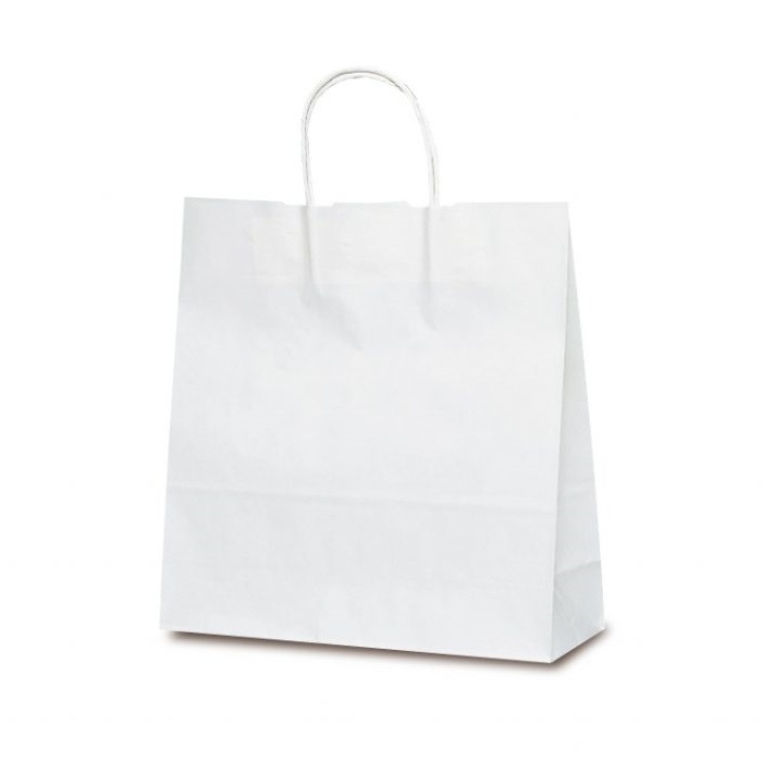 手提袋　Ｔ－６　白無地　＃１６９８
