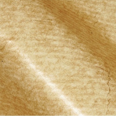 業務用ＷＡＸシート　筋入クラフト　＃２１００５０２