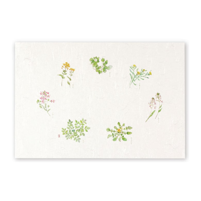 テーブルマット　春の七草　Ｔ－１０２　＃２２２３６４