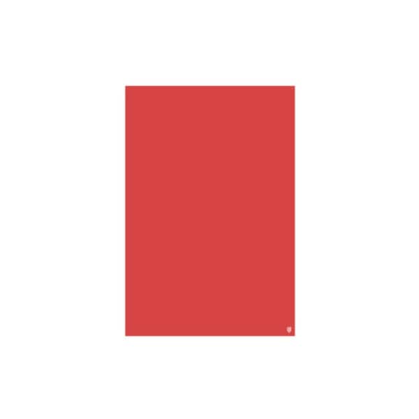 クリアバッグ　クリアカラー　レッド　Ｍ　＃４８６３