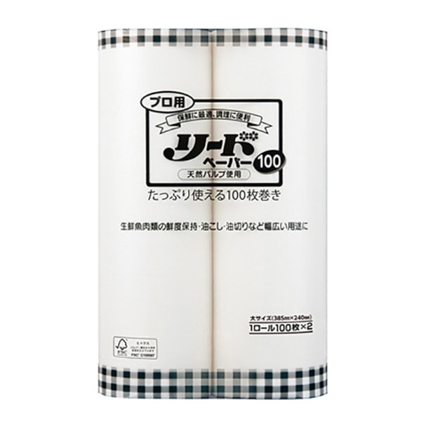 プロ用リードペーパー１００　大　＃４７１１２０５