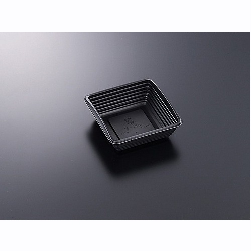 ＣＴ　ＷＲＬ－２１　ＢＫ　身